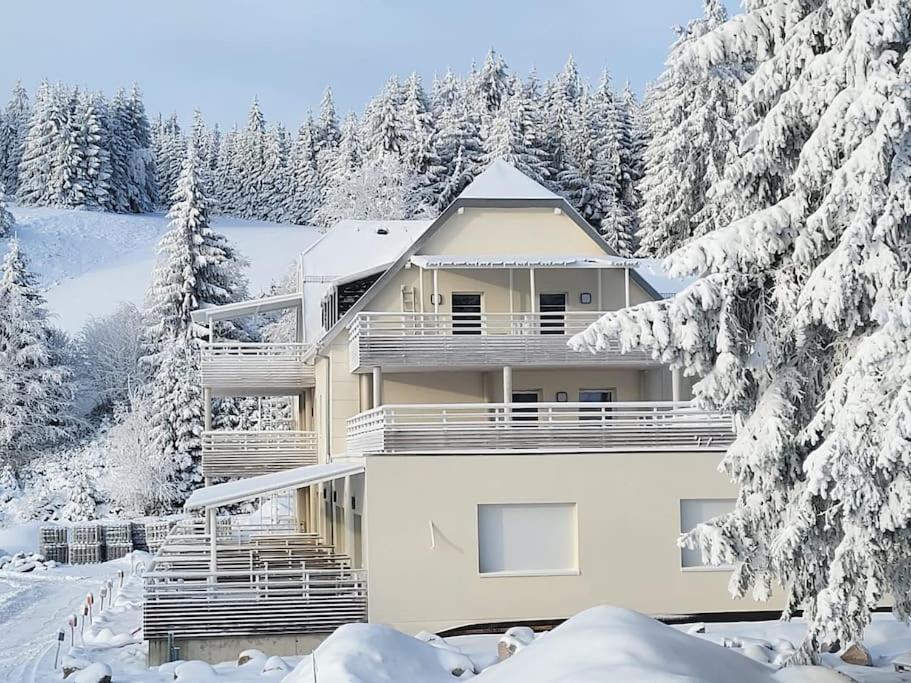 Appartement Chaleureux Au Pied Des Pistes Orbey Bagian luar foto